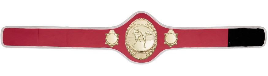 THAI BOXING CHAMPIONSHIP BELT-PRO286/G/TBOG-10+ COLOURS